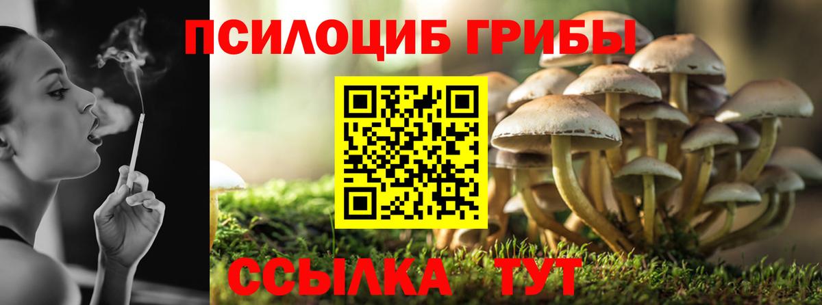 Лангепас  наркота  Вход с VPN  Псилоцибиновые грибы мухоморы 